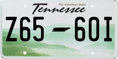 TN license plate Z6560I