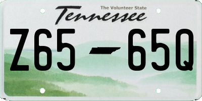 TN license plate Z6565Q