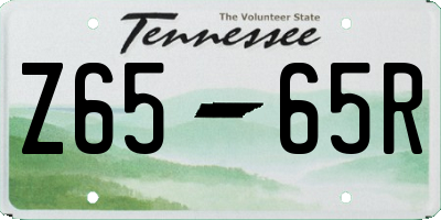 TN license plate Z6565R