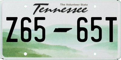 TN license plate Z6565T