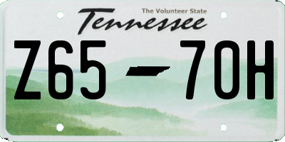 TN license plate Z6570H
