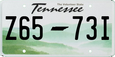 TN license plate Z6573I