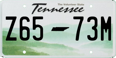TN license plate Z6573M