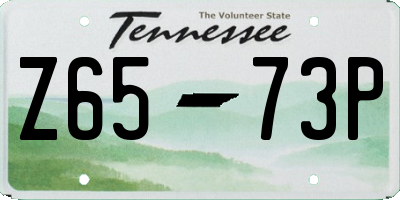 TN license plate Z6573P