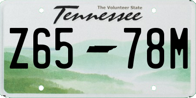 TN license plate Z6578M