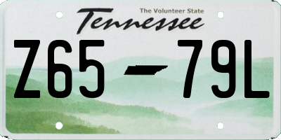 TN license plate Z6579L