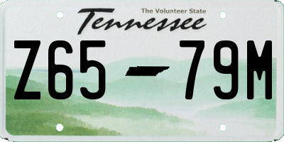 TN license plate Z6579M