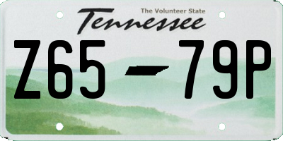 TN license plate Z6579P