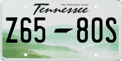 TN license plate Z6580S