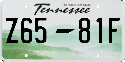TN license plate Z6581F