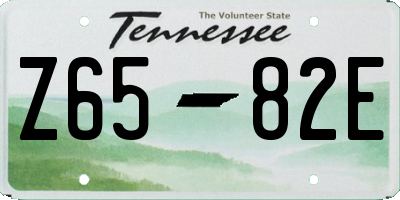 TN license plate Z6582E