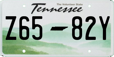 TN license plate Z6582Y