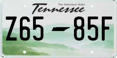 TN license plate Z6585F