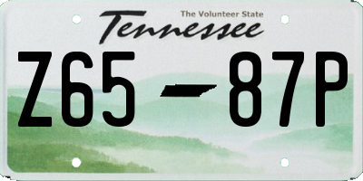 TN license plate Z6587P