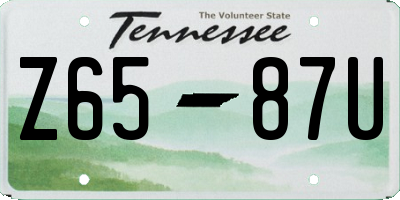 TN license plate Z6587U