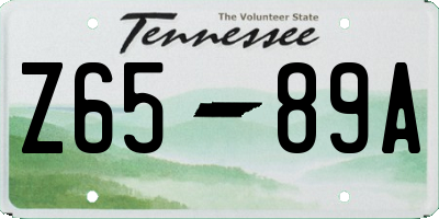 TN license plate Z6589A