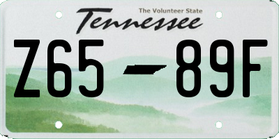 TN license plate Z6589F