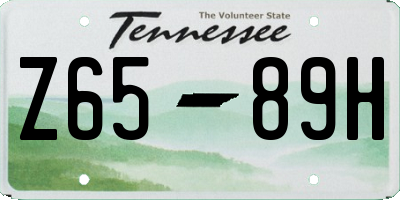 TN license plate Z6589H