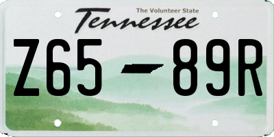 TN license plate Z6589R