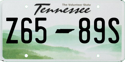 TN license plate Z6589S