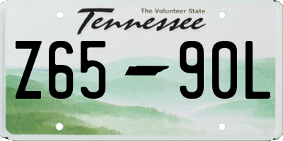 TN license plate Z6590L