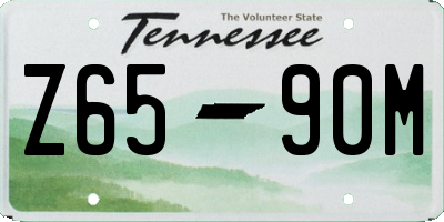 TN license plate Z6590M
