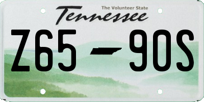 TN license plate Z6590S
