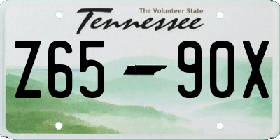 TN license plate Z6590X