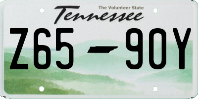 TN license plate Z6590Y