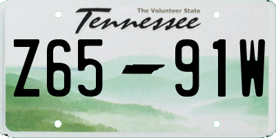 TN license plate Z6591W