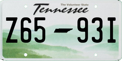 TN license plate Z6593I