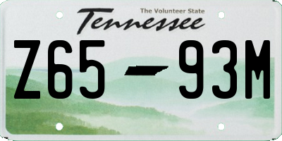 TN license plate Z6593M
