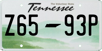 TN license plate Z6593P