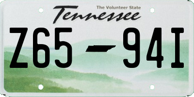 TN license plate Z6594I