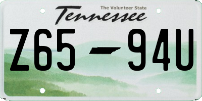 TN license plate Z6594U
