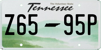 TN license plate Z6595P