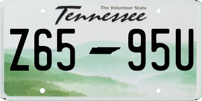 TN license plate Z6595U