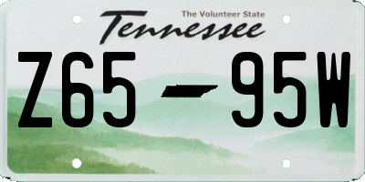TN license plate Z6595W