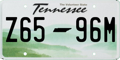 TN license plate Z6596M