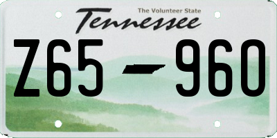 TN license plate Z6596O