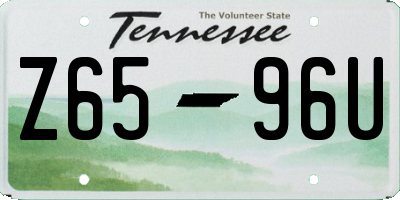 TN license plate Z6596U