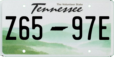TN license plate Z6597E