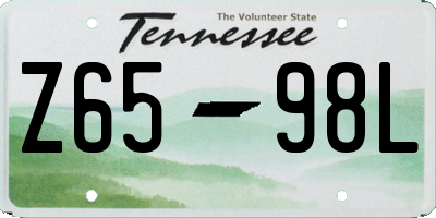 TN license plate Z6598L