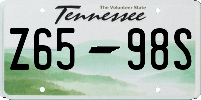 TN license plate Z6598S