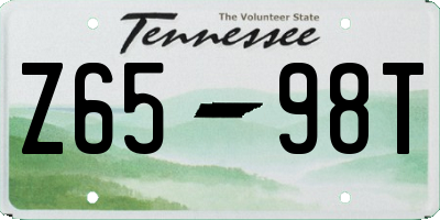 TN license plate Z6598T