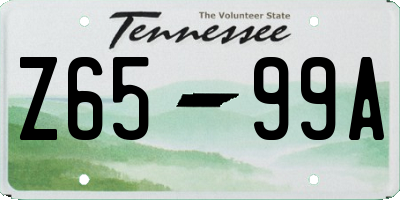 TN license plate Z6599A