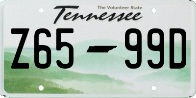 TN license plate Z6599D