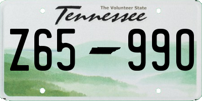 TN license plate Z6599O