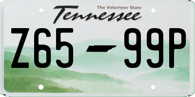TN license plate Z6599P