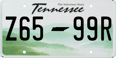 TN license plate Z6599R